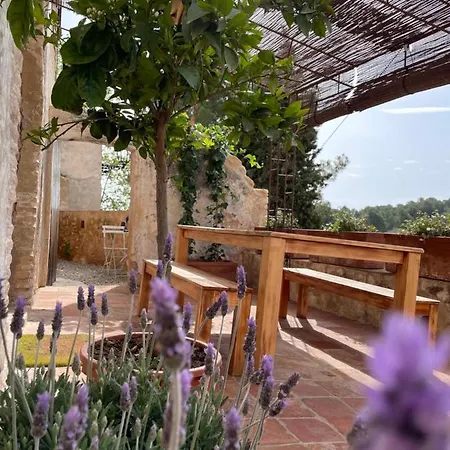 Con Jardin,a 8km Playa Y En La Naturaleza Taronja&canyella Holiday home *