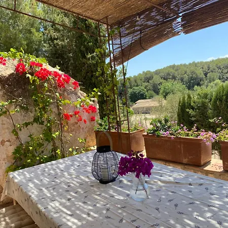 Con Jardin,a 8km Playa Y En La Naturaleza Taronja&canyella Holiday home Ardenya