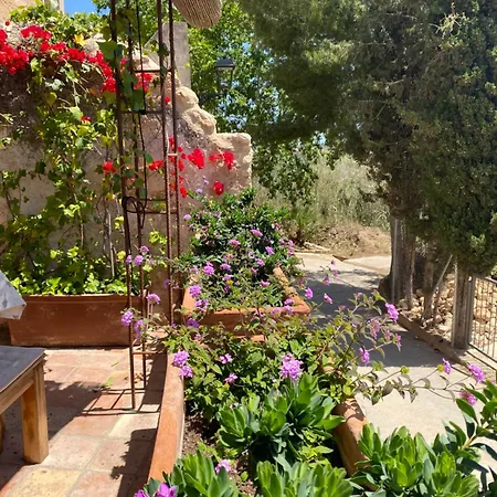 Con Jardin,a 8km Playa Y En La Naturaleza Taronja&canyella Holiday home Ardenya