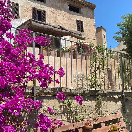 Con Jardin,a 8km Playa Y En La Naturaleza Taronja&canyella Holiday home Ardenya